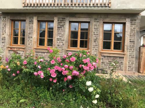 Apartamento Haus Tersteegen
