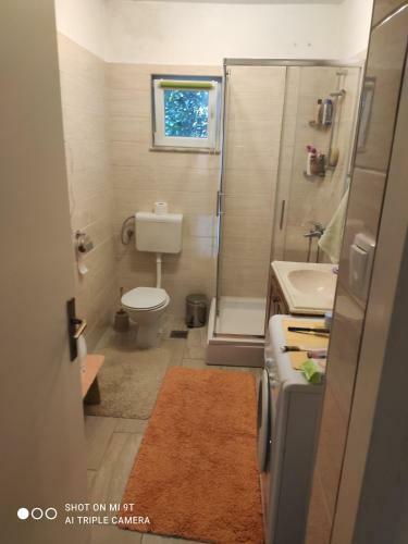 Apartment Eva