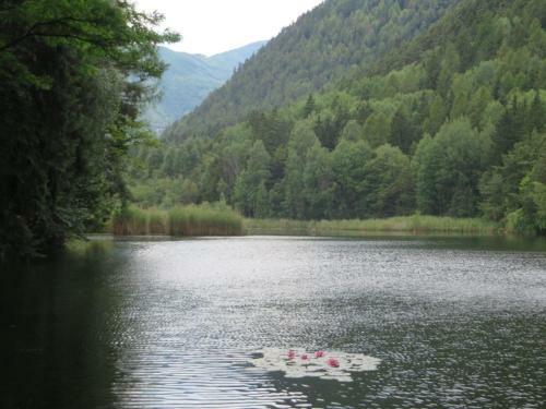 Aparthotel Pension Gr�nbacher