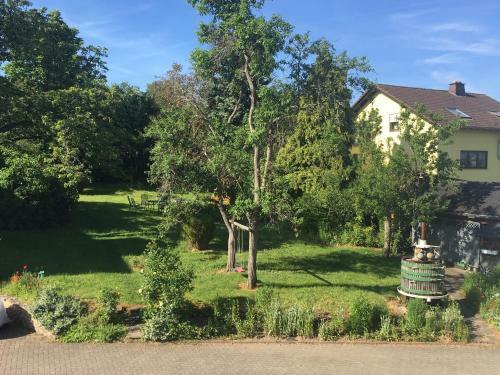 Apartamento Ferienweingut Willems