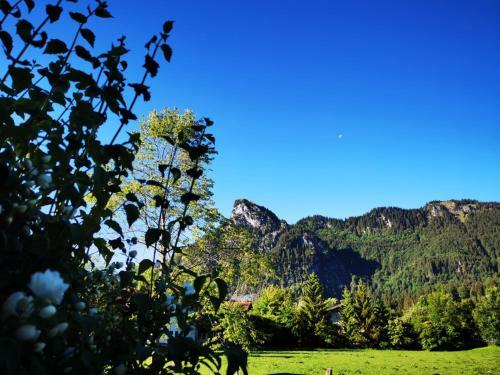 Bed & Breakfast G�stehaus Neu Am Passionstheater