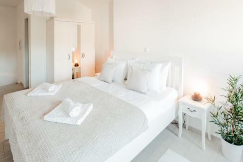 Apartamento Ku?a U Centru