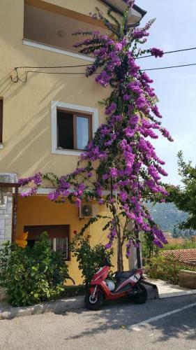 Apartamentos Apatmani Milena