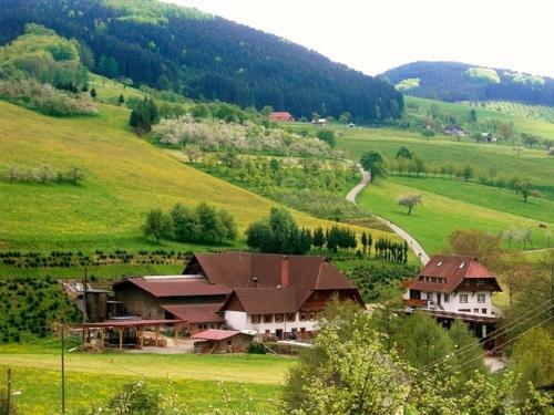 Apartamento Lunzenhof