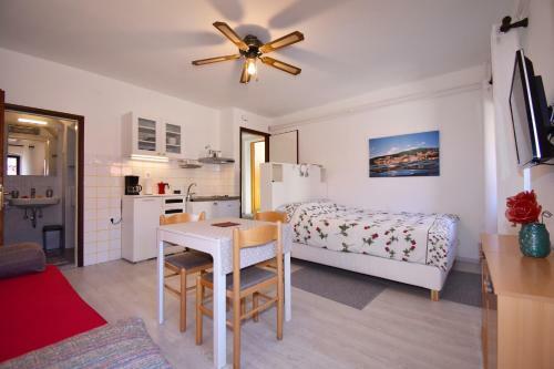 Studio Apartments Skoric