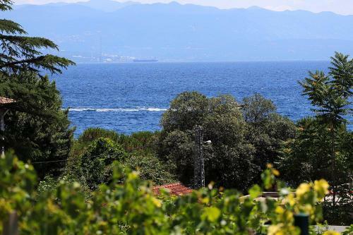 Stylish Apartment 100 M From The Beach