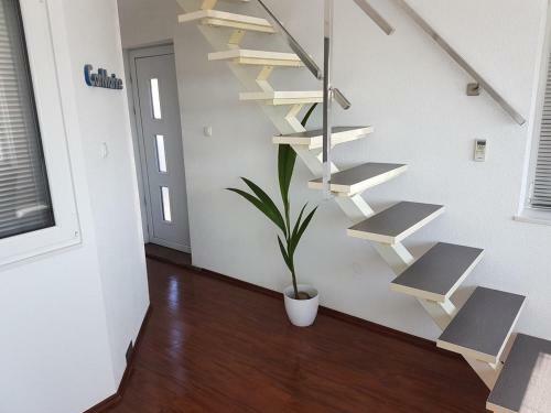 Penthouse Jacuzzi Apartments