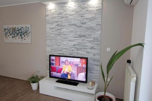 Apartment Cerovi?
