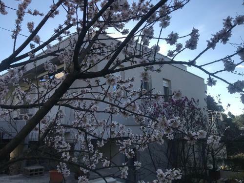 Apartamentos Sunny Garden