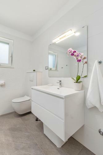 Apartment Niki