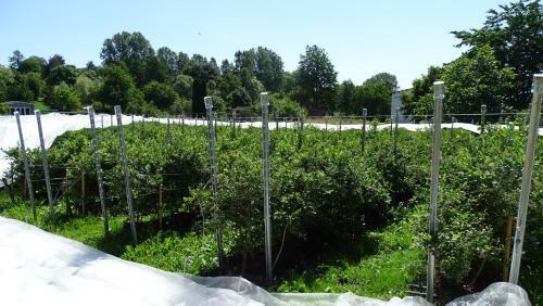 Eifel Ferienhaus Anne