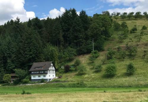 Apartamento Ferienwohnung Hesselbach