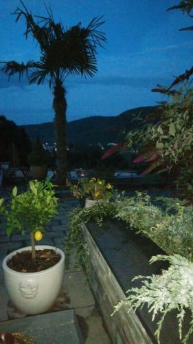 Apartamento Seeblick Oase