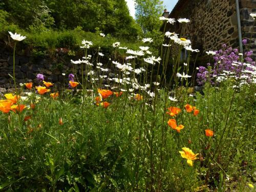 Bed & Breakfast Art Et Cr�ation