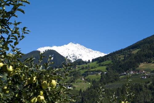 Hotel Pension Thalerhof