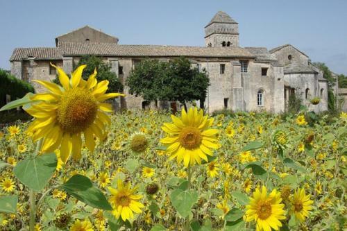 Hotel Hostellerie Du Luberon