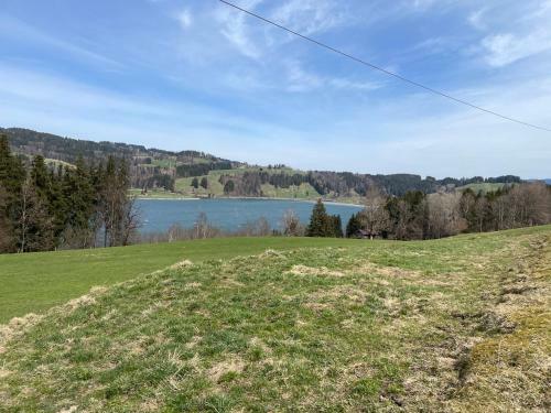 Apartamento Ferienwohnung Am Goldbach