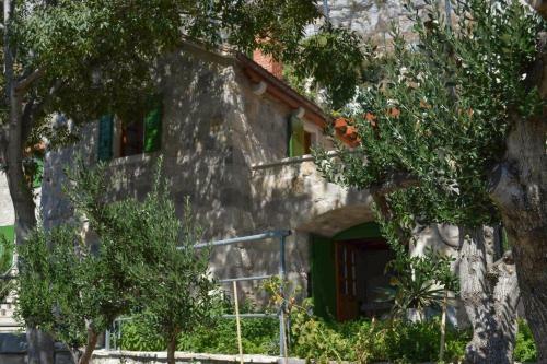 Villa Nidus Onei