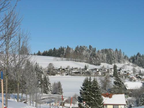 Apartamento Haus Lenzhalde