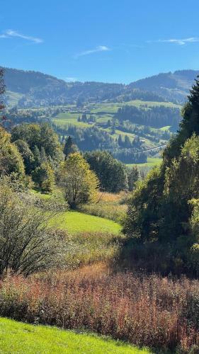 Apartamento Alpenloft Ausblick - Oberstaufen Plus
