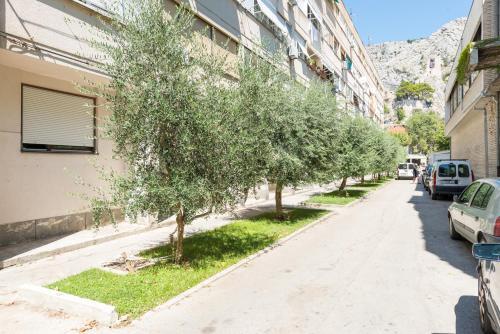 Apartamento Kate