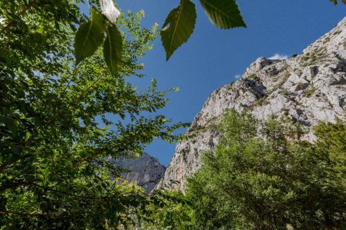 Apartamento Ivino