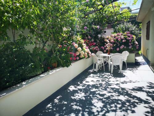 Apartman Jole