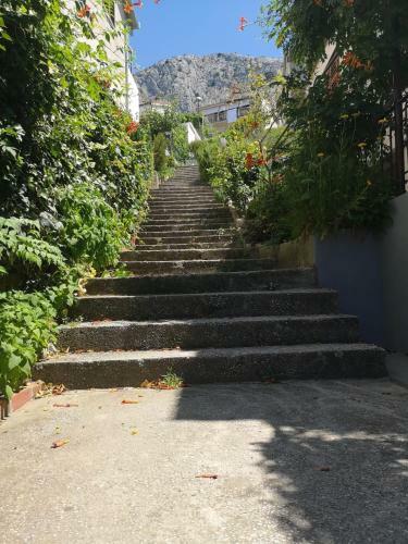 Apartman Jole