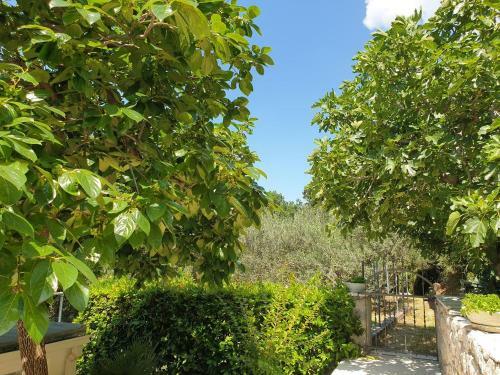 Apartamento Idis Holiday Home