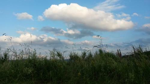 Apartamento Ferienwohnung Sauerland Fernblick
