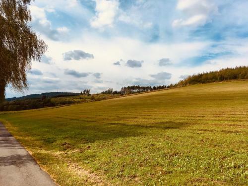 Apartamento Ferienwohnung Am Pieperknapp In Olsberg