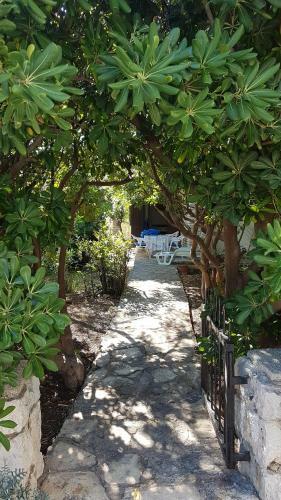 Family House Pag