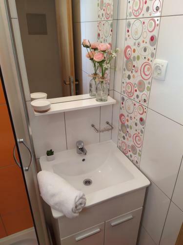 Holiday Home Pag (Two Separate Apartments)