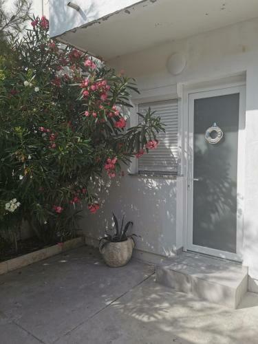 Apartmani Denx