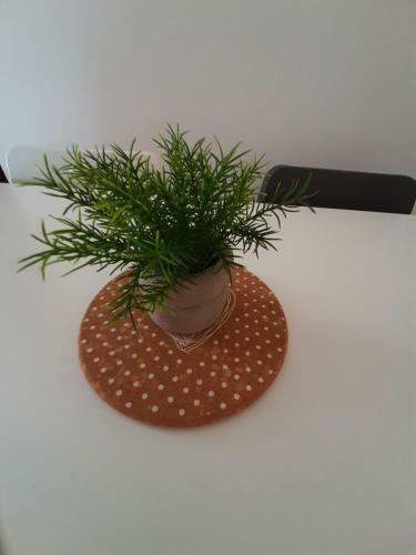 Apartman Rita