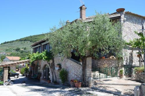 Hotel Il Borgo Dell'ulivo