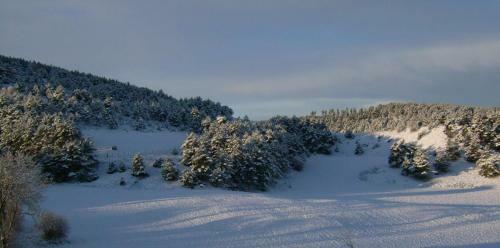 Bed & Breakfast Chez Louis