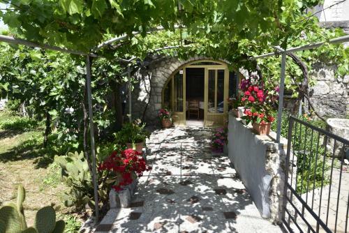 Bed & Breakfast Guest House Tom