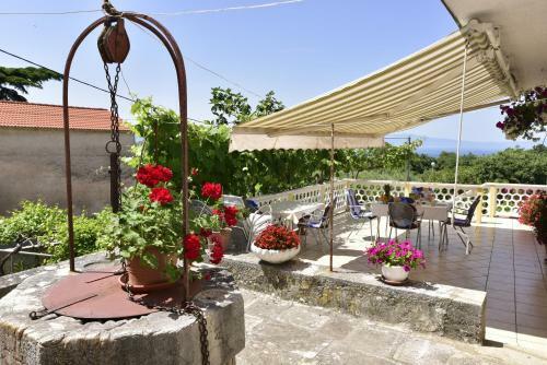 Bed & Breakfast Guest House Tom