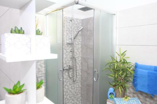 Apartment Lavanda