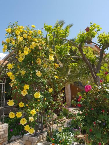 Luxury Apartment Marin Near Beach