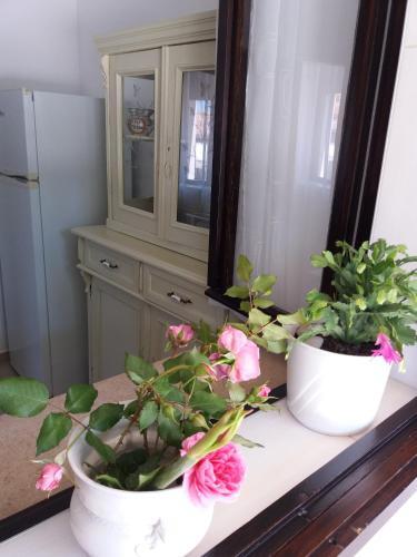 House Mergi 2