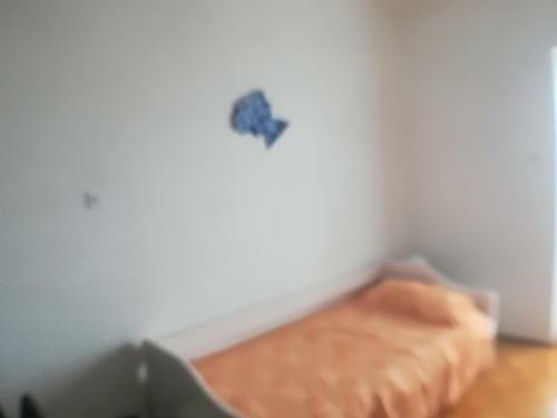 Apartman Darko