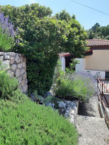 Apartamento Grabrova Cove