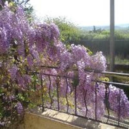 Bed & Breakfast Manoir Le Cristal (futuroscope)