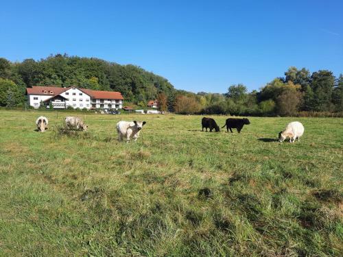 Hotel Landgasthof Rotlipp