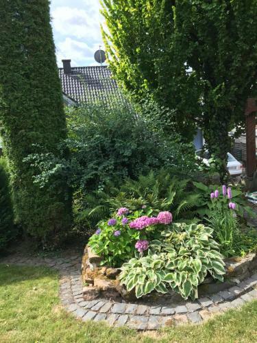 Apartamento 3 Zimmer Loft Mit Sauna & Garten In Ortenberg