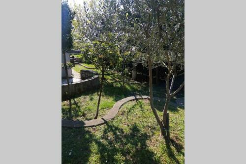 Apartman Belvedere ****