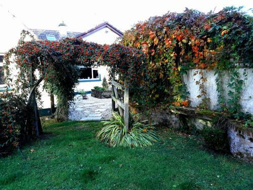 Agroturismo Country Home Tara