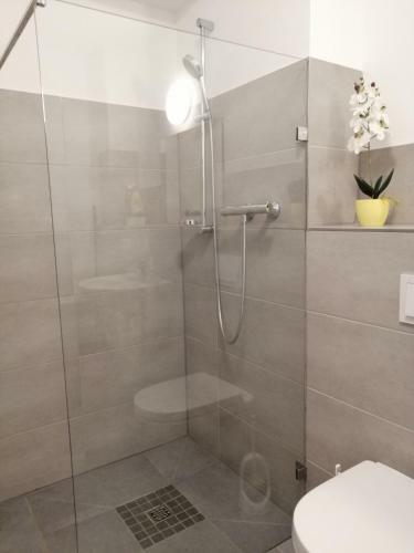 Apartment Wie